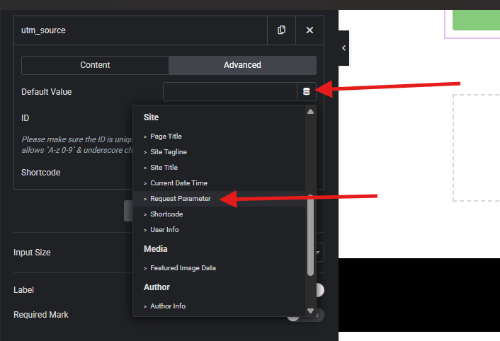 configurar reques parameter para capturar utms no formulário do Elementor